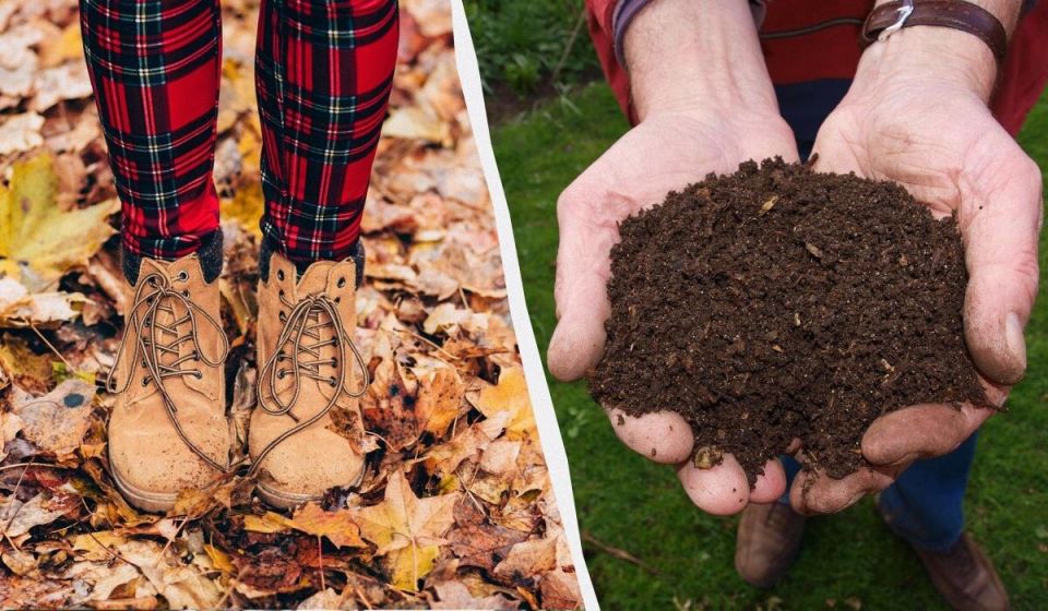 ��� ������ ���������� ������� ������ � ������� �� 2 ������