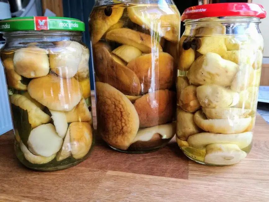 ������������ �����: ������� ��������� �� ����