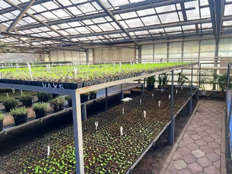 ���� ��������� � ���������� ������