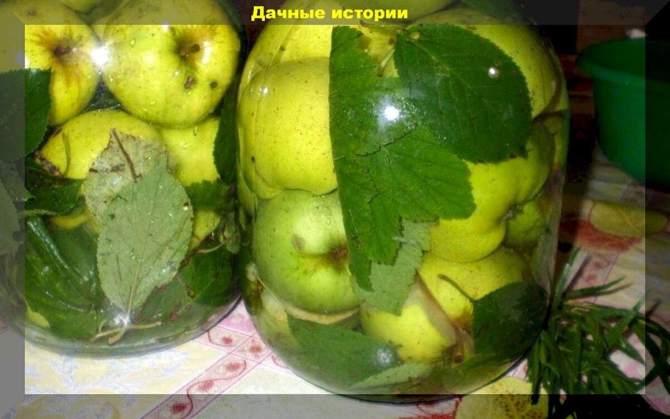 ��� ������� ������� ��������� ������ ����� �� ����