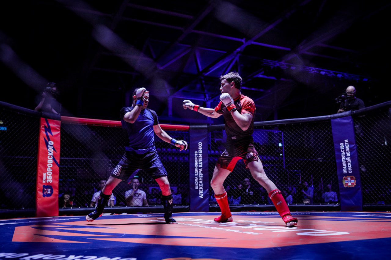 Сегодня завершились межрегиональные соревнования памяти легендарного тренера, который заложил основы традиций смешанных единоборств в Омской области, Владимира Анатольевича Зборовского Сегодня завершились межрегиональные соревнования памяти легендарного тренера, который заложил основы традиций смешанных единоборств в Омской области, Владимира Анатольевича Зборовского