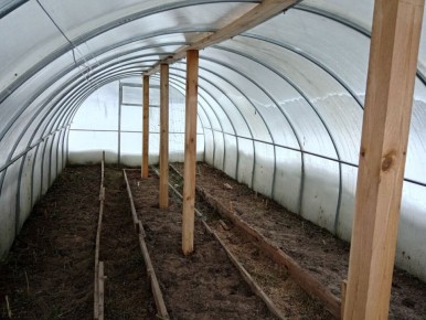 ��� ������������� ���������� ���� �������