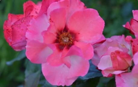 ���������� ��� � ���������� ��������: ������� ����� � �������