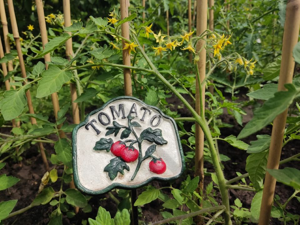 Чугунные таблички в огороде: зачем превращать обычное в исключительное?