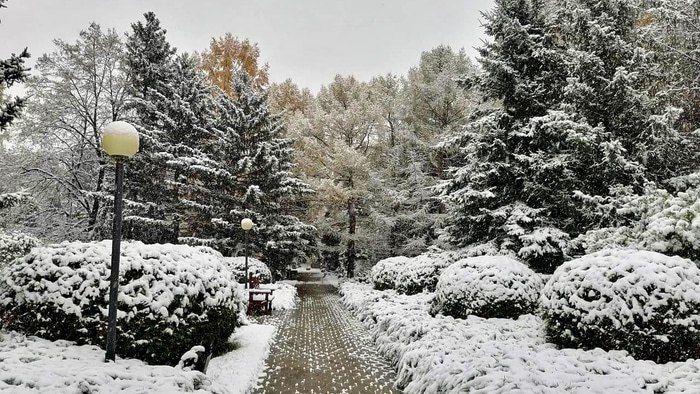 Омский суд вернул земли в районе дендросада и Старозагородной рощи