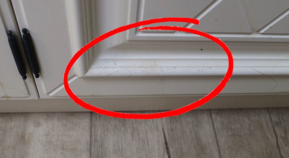 ��� ������ ������� ����� �����: ��� ������� ������ �� ������ ����