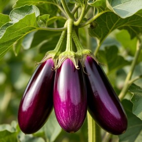 ��� �������� ������� ������ ����������: ������� ���������