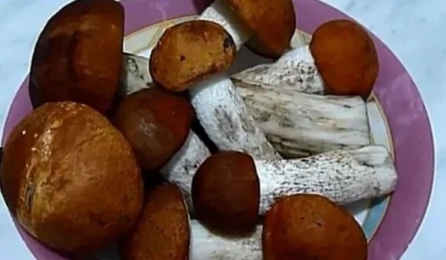 ��� ��������� ������ ����� �� ����: �������� ������ � ������