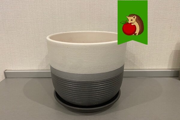 Недостатки керамических горшков: какие растения не стоит в них сажать