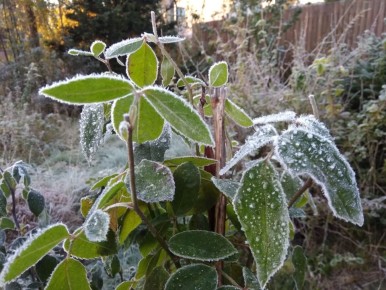 ������ �������: ��� �������� ������ ������ ���� � ������