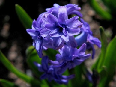 �������� ���� ����������! ��� ���� �� �������� ������ ���� ��������