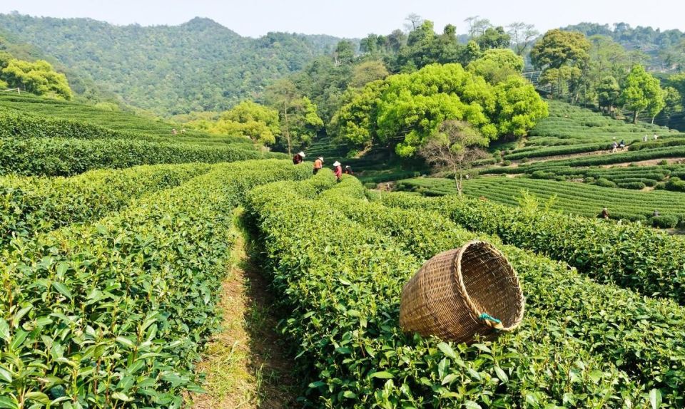 ������������ ������������� ���: ��� ���� ���� ���� ������������ ������