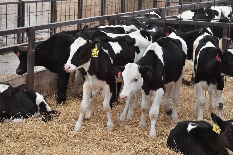 ������� ������� �������� 40 ��� ������ �� ��������� ������������ ������