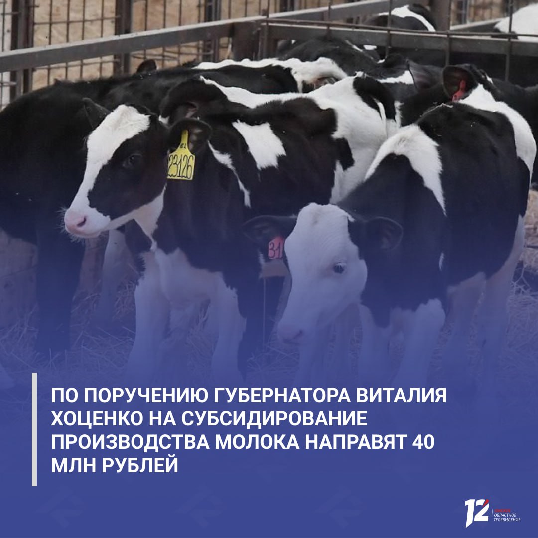 По поручению губернатора Виталия Хоценко на субсидирование производства молока направят 40 млн рублей