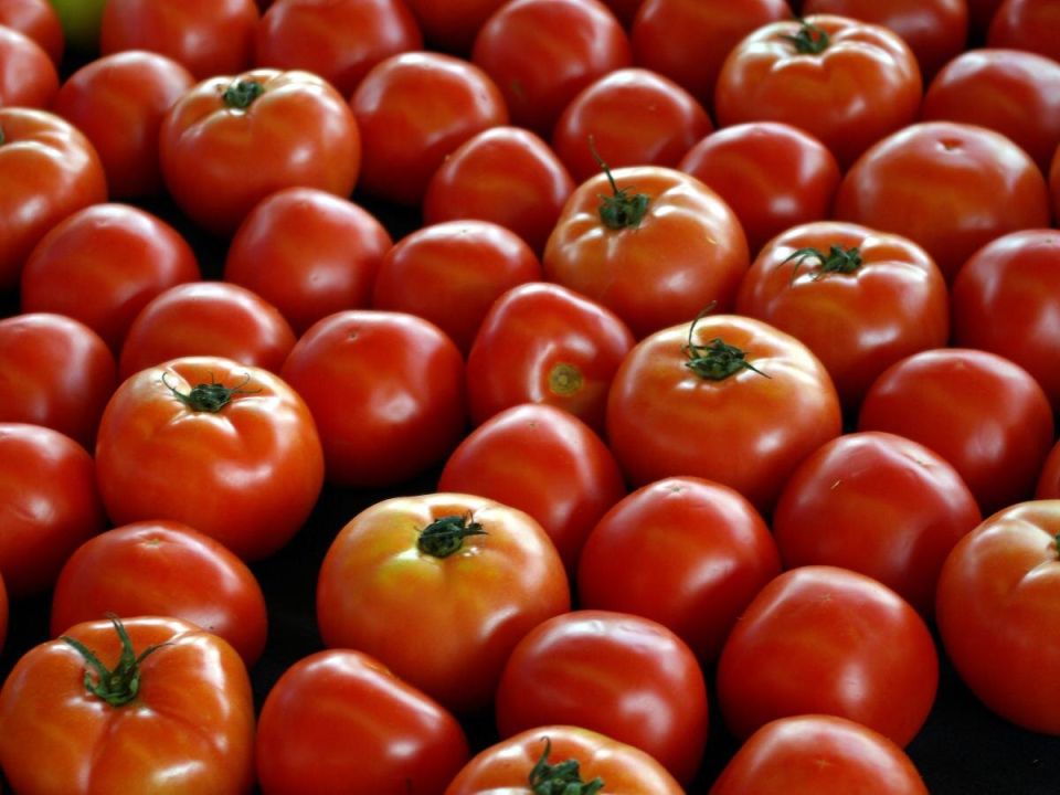 ������ ���� ������ ��������: �������� ������� � ������ �� �����