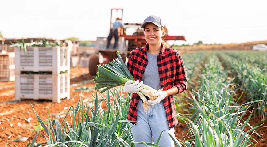 ������� �������� ����-�����: �� ����� �� ������ �������