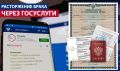 Развод через Госуслуги: удобство и ограничения онлайн-процедуры