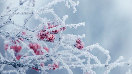 �� -40 � ����: �� ������ ������� ��������� ���������� ������