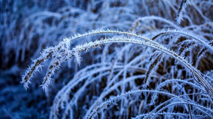 ����� �������� ���� �������: ��������� ���������� � ������ � ����� �� 23 �������