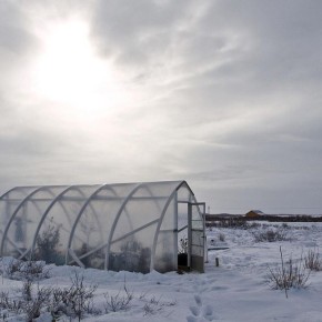 ����������� ������� �������� ������������� ���� �� ����