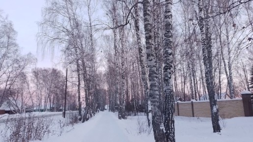 На последней неделе февраля по Омску ударят суровые морозы