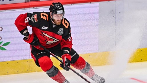 Судебныеприставы разыскивают имущество экс-игрока омского «Авангарда» Ивана Телегина