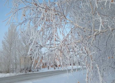 ������ ���� �������� ������