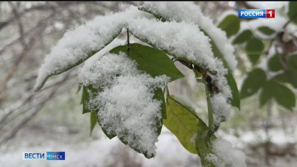 ������ ����, �����!. ��������� ��� �� ������ ����������?