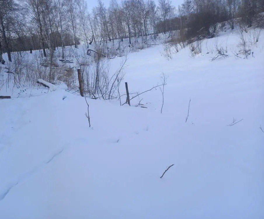 После вмешательства прокуратуры восстановлен доступ жителей села Ложниково к берегу реки Оша в Тарском районе Омской области После вмешательства прокуратуры восстановлен доступ жителей села Ложниково к берегу реки Оша в Тарском районе Омской области