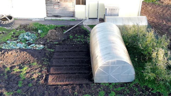 � ����� ������� ���� �� ����: ����������� � ��������