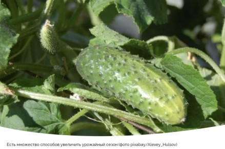 ��� �������� ������������ �������: ������� ��� ����� ������� � �������