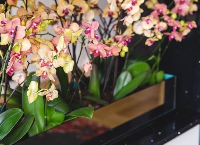 ��� ������� ��������� ������� ��� �������: ������� ��������