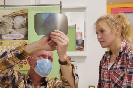 ��������������� � �������� ������� ������� ������� ������������� �������� �� ������ ����������