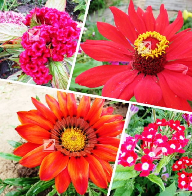 7 ������� ������������ ��� ����� ������