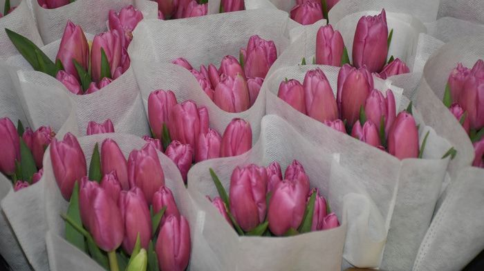 �������� ��������: ��������� ����� ��������� ������ �����