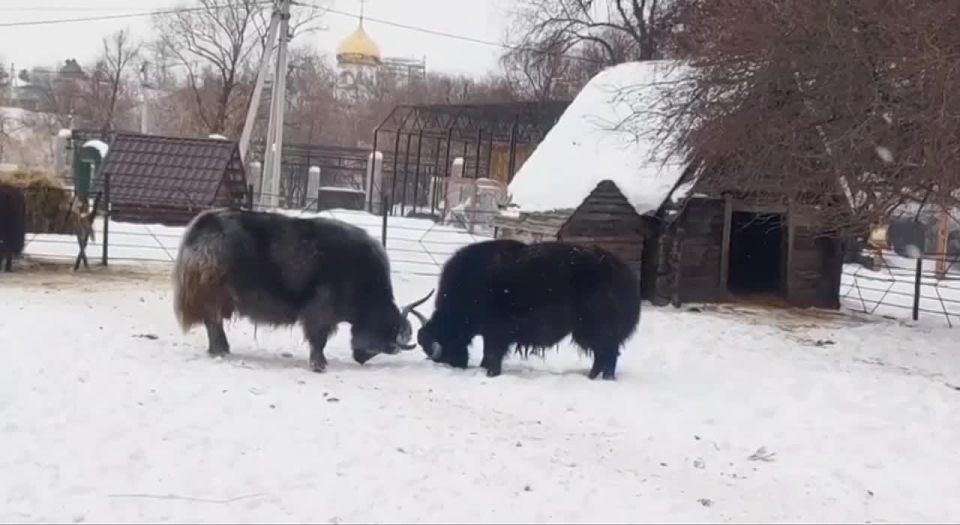 � ��������������� �������� ��������, ��� ����-�� ������ � ��������