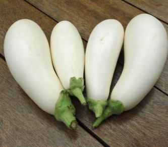 Обзор лучших сортов белых баклажанов – удивительные плоды на грядке