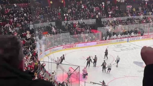 Шайба омичей летит в ворота лис