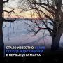 Стало известно, какая погода ждет омичей в первые дни марта