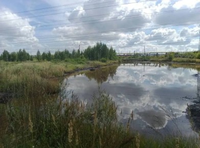 ������ ������: ������� � ������������ �������� ��������� ��� �������� ������������ �������� ��� ������� ���������� ��� ������ ��������