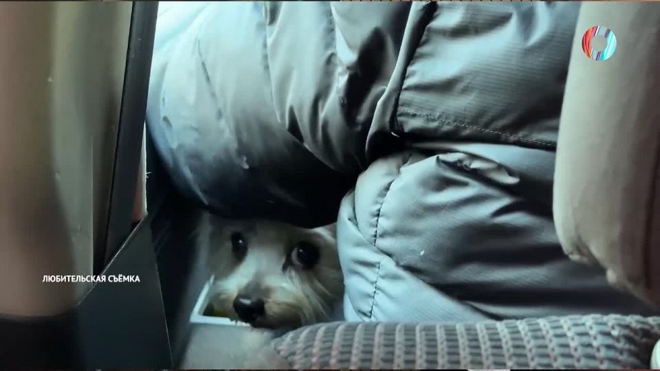 ���� �� ������, ��� ��� ��� ����� �� ������� � ��������� ���������