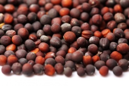 �������� ������ ������� ��� ����