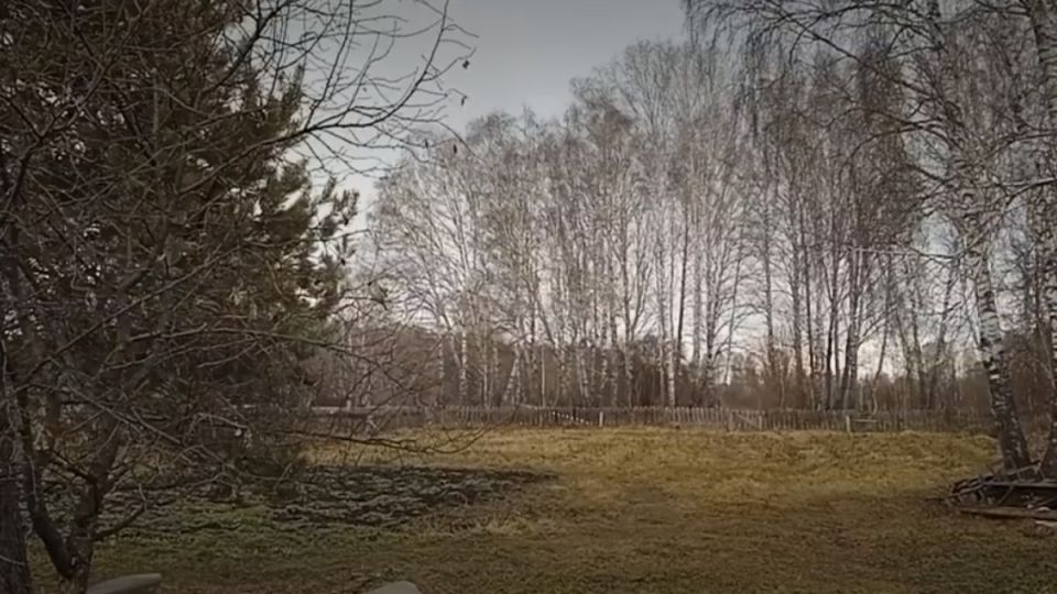 ��������� ���� ������� ����������� �����: ��� ���������� � �������� �������?