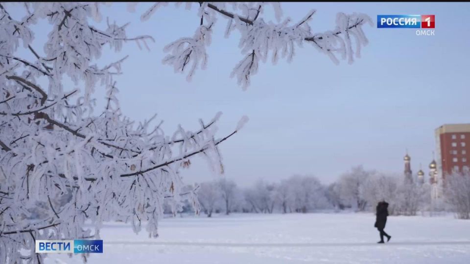 ������ ���� �������� ��������