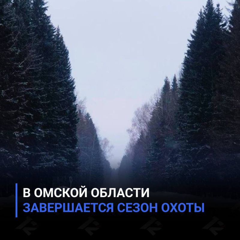 � ������ ������� ����������� ����� �����