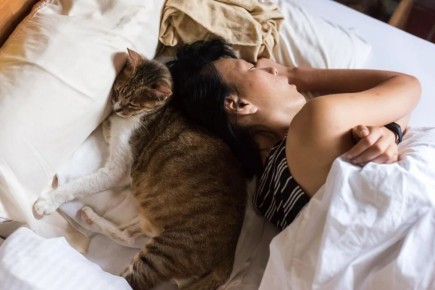 ������ ����� ����� ������ �� �����: ���������� ����� � ������