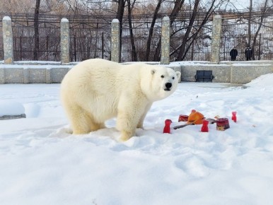 ���� ��������� ������� �������� � ��������������� ��������!