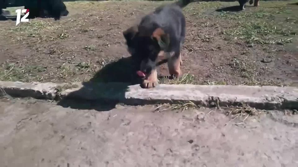 ���� ���� �� ����� ��������!