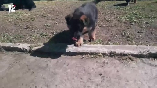 ���� ���� �� ����� ��������!