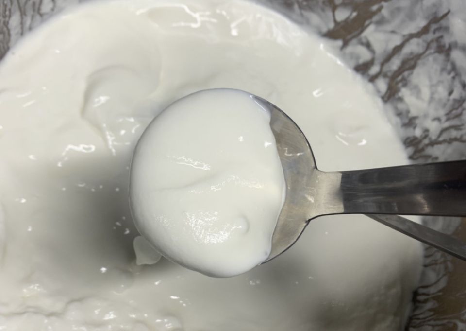 ������������ ������ ������������� ��������� ������ ��� ��������